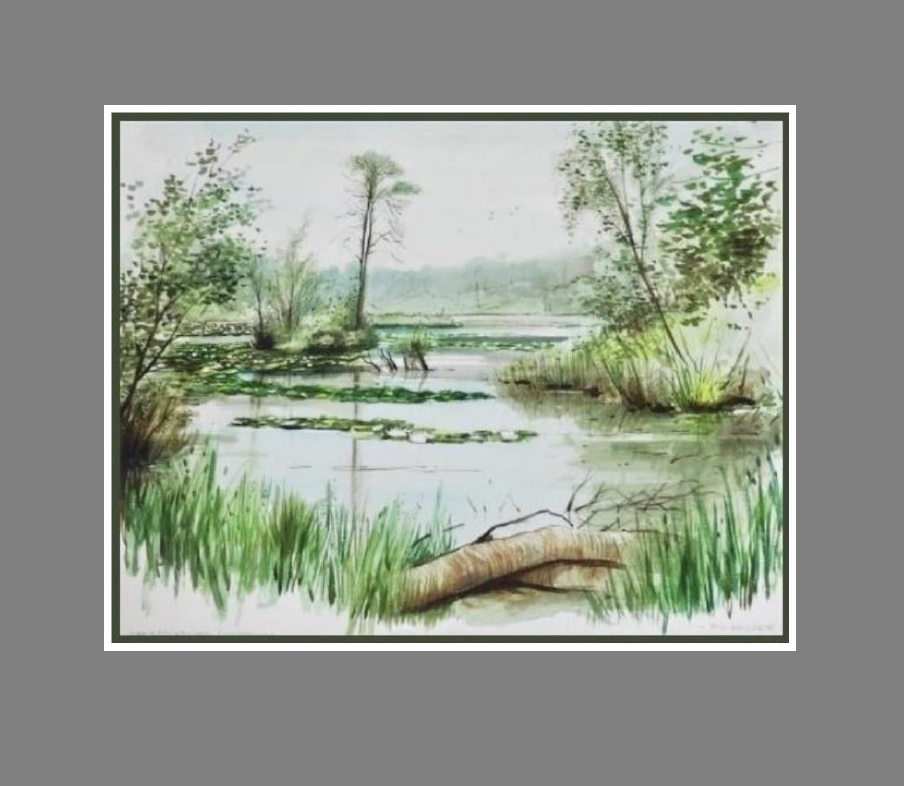Esschenven - Oisterwijk