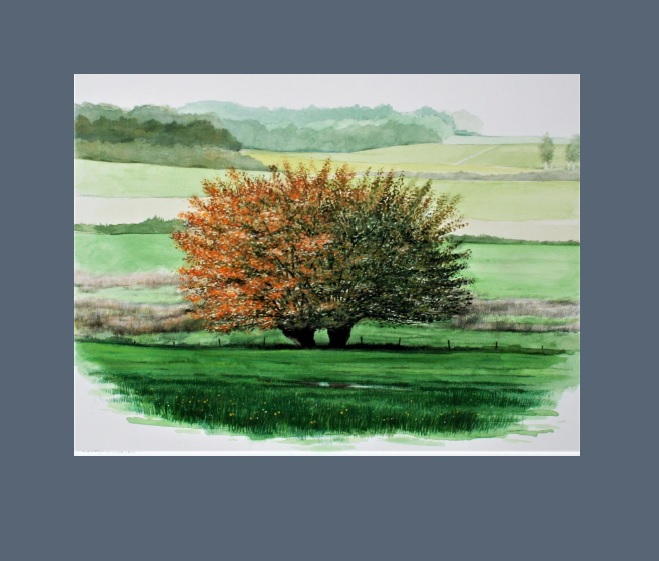 Limburg - herfst