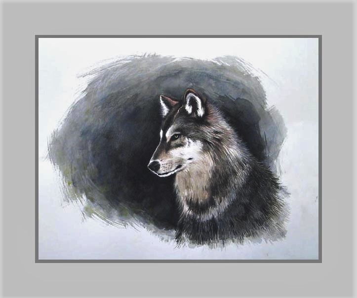 Grijze wolf