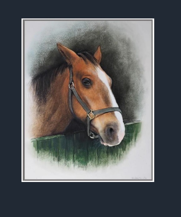 Wantrouwend paard