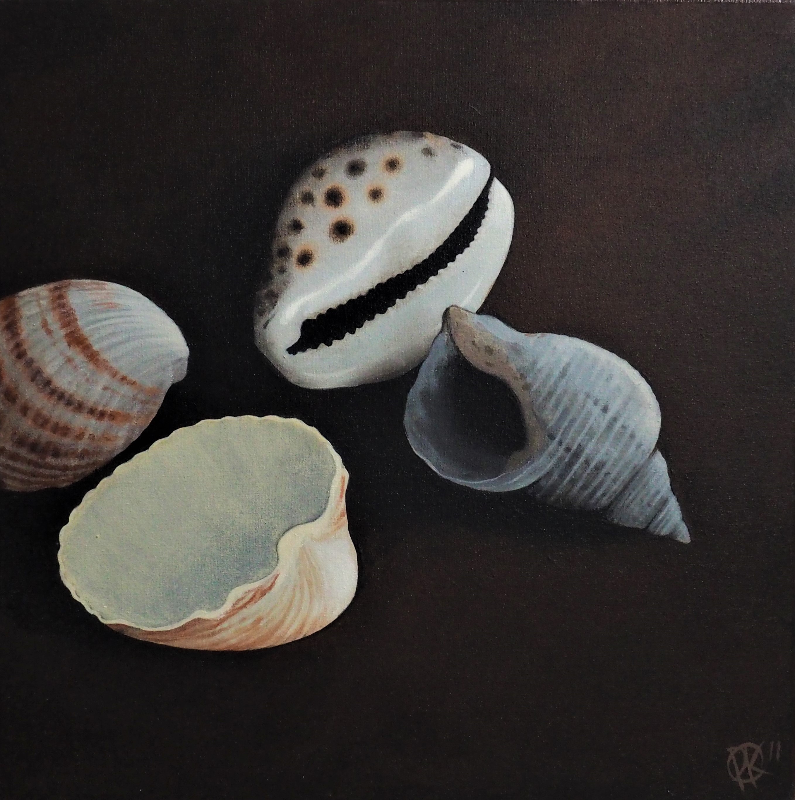 Stilleven met schelpen