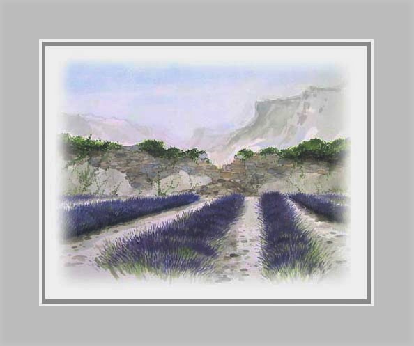 Vaucluse - Frankrijk