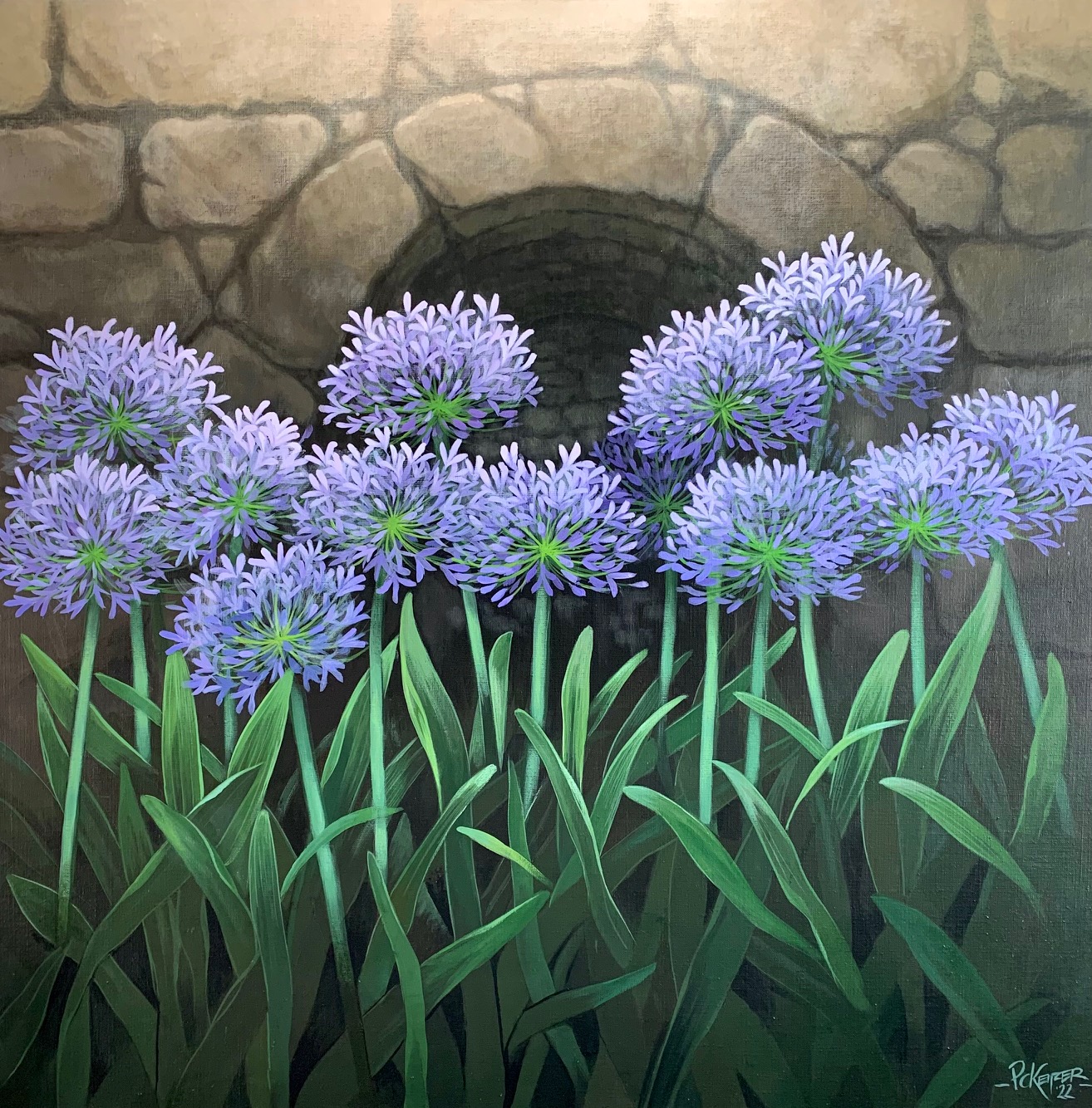 Agapanthus (Afrikaanse Lelie)