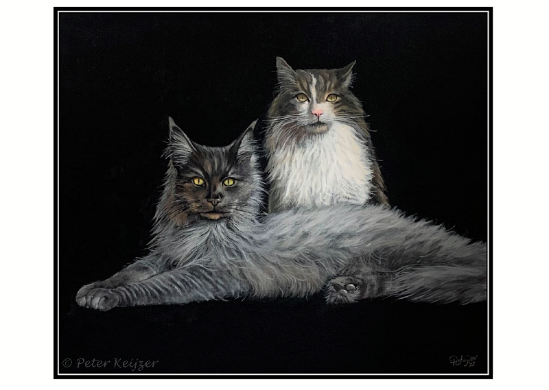 Thor en Loki